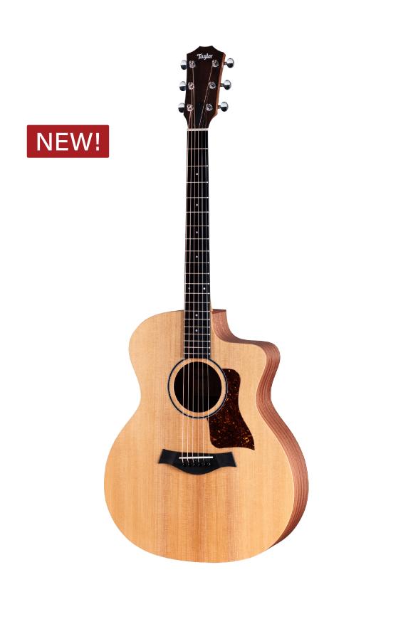 Taylor 테일러 Taylor 14ce / GA바디 입문용테일러 픽업기타