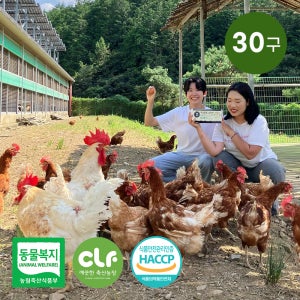 난각번호1번 동충하초 먹인 자유방목 유정란 동물복지 계란 30구, 1개