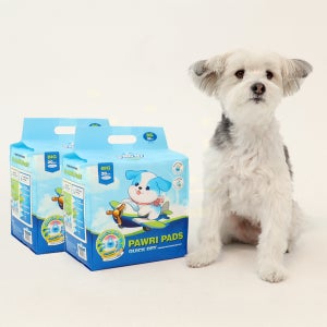 포우리 퀵드라이 고흡수 배변패드 큰패드 논슬립 두꺼운 대형, 20매입, 2개