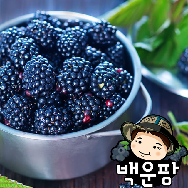 슈퍼 <b>복분자</b> 생과 급냉 10kg, 1개