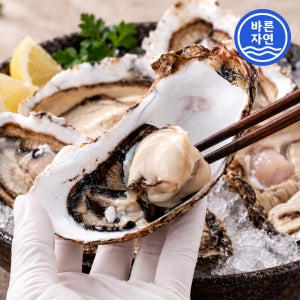 바른자연 통영 삼배체굴 1kg 2-4미 횟감용 대왕굴 사계절 여름 생굴 오이스터