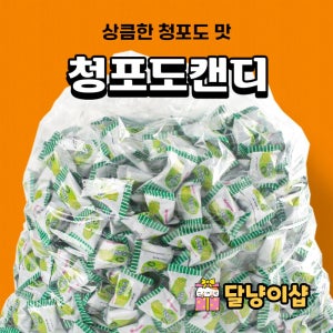 맛고을 청포도맛사탕 4kg 대용량 벌크 사탕 업소용 식당 회사 홍보