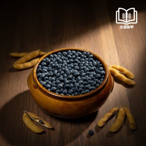 소설농부 2025년 국산 햇 속청 검정콩 검은콩 서리밤콩 서리태 1kg, 1개