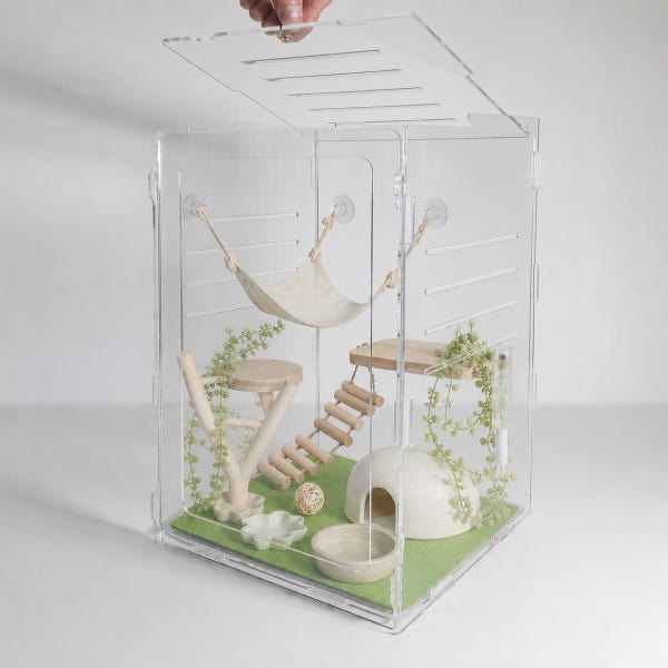 도마뱀 사육장 크레스티드 게코 아크릴 집 크레 케이지 20x20x30