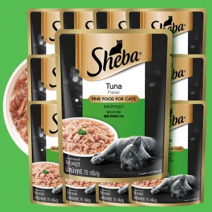 쉬바 고양이 파우치 습식 간식 참치, 70g, 12개