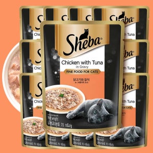 쉬바 고양이 파우치 습식 간식 닭고기+참치+그레이비소스, 70g, 12개