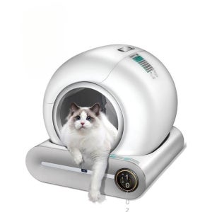 커뮤니티 고양이화장실