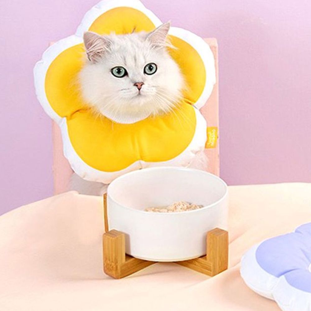 반려동물 쿠션 넥카라 M 1P 강아지쿠션넥카라 반려견 보호 강아지 보호