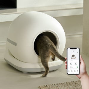 페페 고양이 스마트 자동 화장실 자동 모레교체