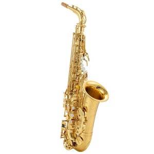 색소폰 알토 입문용 악기 쌕스폰 초보 취미용 연습용 YAS-875EX