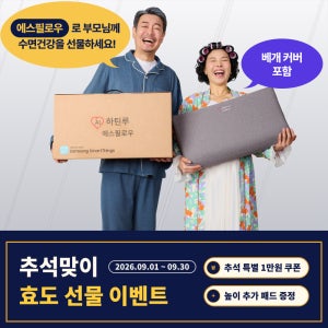 AI하틴루 에스필로우 + 데일리 베개 커버 1종