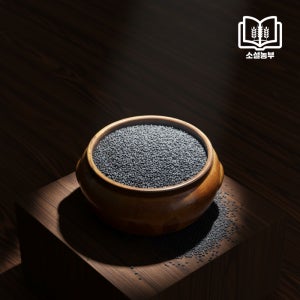 소설농부 2025년 국산 햇 생검정참깨 검정깨 검은깨 볶지 않은 흑임자 1kg, 1개