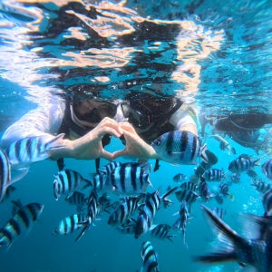 한국어진행 오키나와 푸른동굴 보트 스노쿨링 후기 맛집 (사진/영상/먹이주기체험 포함)