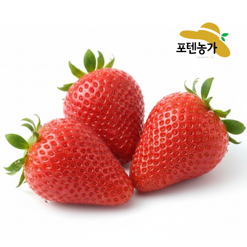 [11월17일부터출고] 프리미엄 설향딸기