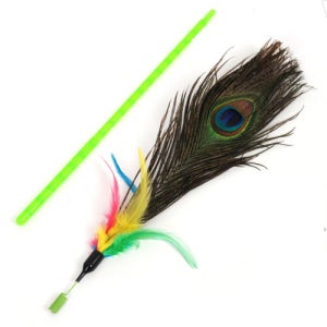 펫모닝 스윙캣 공작새