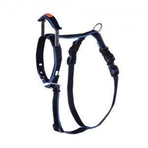 페이텐도 프리미엄 하네스&자동손줄 단 세트 XL 블랙