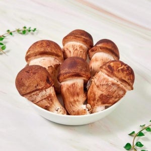 (산지발송) 특등급 미네랄품은 생참송이 버섯 1kg (한정수량)