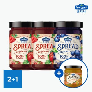 폰타나 스프레드 330g 스트로베리 2병+블루베리 1병