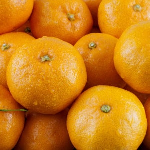 제주 서귀포 타이백 노지 감귤 조생 10kg 로얄과 2S-M