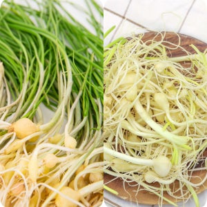 26년 당일수확 흙달래 은달래 봄나물 깨끗한 세척 생 달래 400g 1kg