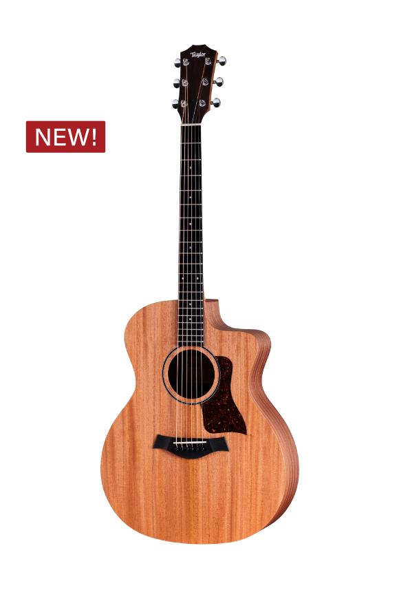 Taylor 테일러 Taylor 24ce / GA바디 마호가니탑 입문용테일러 픽업기타