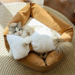 프레이즈펫 코코 리본 쿠션 - 고양이 코르크 양면 마약 방석 꾹꾹이 침대 강아지 애견