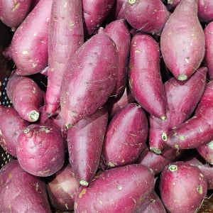 25년 익산 햇 고구마 10kg 대용량 프리미엄 황토 꿀 밤 호박