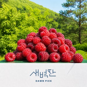 [경세페] 26년 수확 포항 장기 산딸기 생과