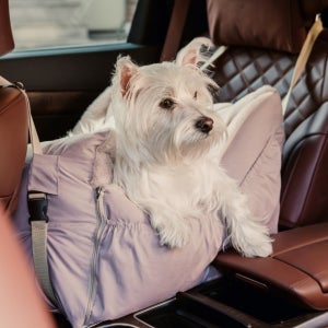 펫다 논슬립 강아지 카시트 애견 방석매트 겸용 부분방수 간편 세탁 국내산 베이지, (중) (70x60)