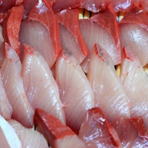 제철 대방어 회 슬라이스 300g 등살 배꼽살 뱃살 (초장 간장 김 와사비) 9kg이상급