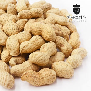맛을 그리다 볶음 피땅콩 5kg(1관) / 25년산 햇땅콩 정월 대보름 부럼
