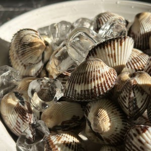 꼬막 국내산 벌교 여자만 새꼬막 조개 3kg 소 300미