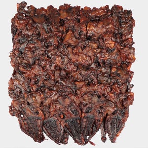 10KG 숏다리(베트남)