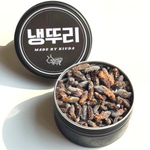 냉뚜리(소 15g 190마리)크레스티드게코 파충류 도마뱀 먹이 냉동귀뚜라미