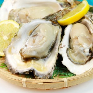 생굴 1kg 해나미 부드러운 탱글한식감 영양만점 당일조업