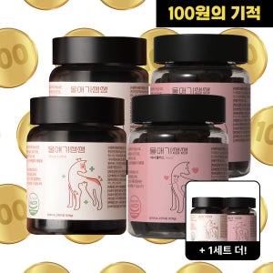 디어랩스 기관지 심장 면역 영양제 올인원 세트