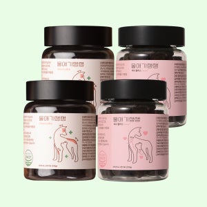 디어랩스 기관지 심장 면역 영양제 올인원 세트