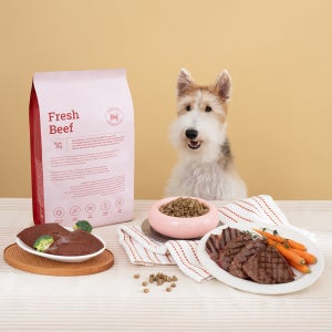본아페티 플러스 프리미엄 기능성 수제사료 활력+종합기능성, 1kg, 1개