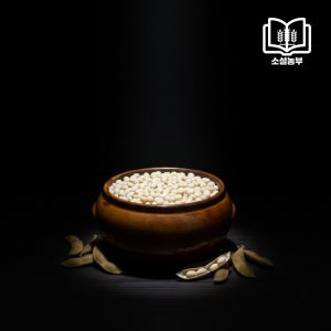 소설농부 2025년 국산 햇 대두 흰콩 종콩 장콩 메주콩 백태 500g, 1개