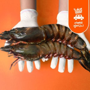 킹타이거새우 2마리 (1+1) 블랙타이거 블랙킹 자연산 대왕 새우장용도