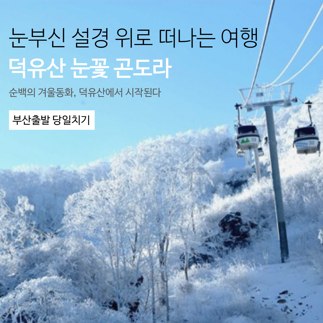 [부산출발] 덕유산 눈꽃 곤도라 당일 버스여행