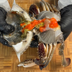 태안 국내산 알배기 암꽃게 대천 서천 인천 게장용 봄꽃게 1kg