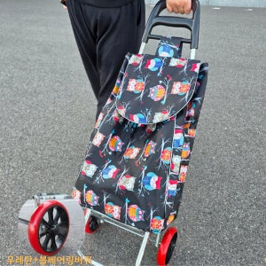 시장가방 핸드카트 바퀴달린장바구니 손수레 마트 장볼때 고급바퀴 방수천 효도선물