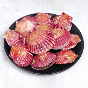 홍가리비 3kg, 1개