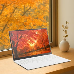 LG 그램프로17 인텔 U5 225H PD충전 17Z90TP-GAFWK 16GB, 1TB