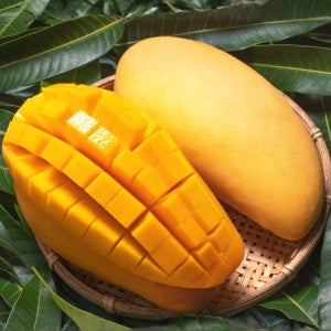 항공직송 태국 고당도 무지개망고 골드망고