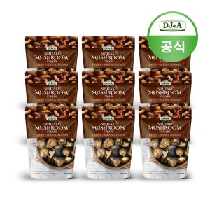 디제이앤에이 영양 건강 간식 야채칩 표고버섯 오리지널 65g X 9개