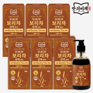 100%국산 보리차 진액 티백대용 진한 원액 480g, 6개