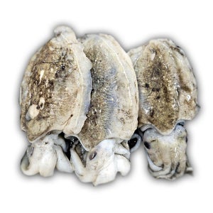 제철 생물 갑오징어 1kg 활 갑오징어 4-8미