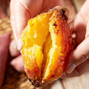 제철 의성 호박고구마 25년 무농약 친환경 호풍미 햇 꿀고구마 10kg 박스